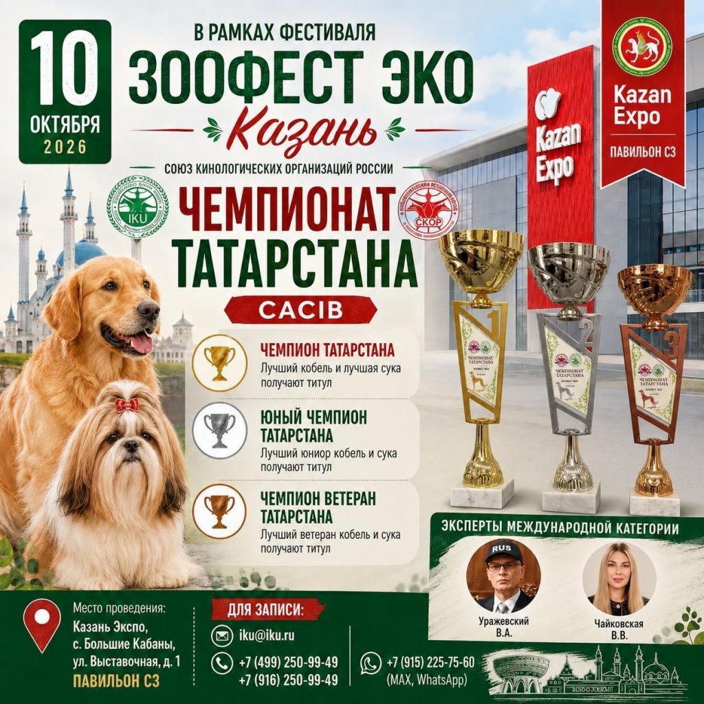 Афиша Чемпионата Татарстана CACIB в рамках фестиваля ЗООФЕСТ ЭКО в Казани