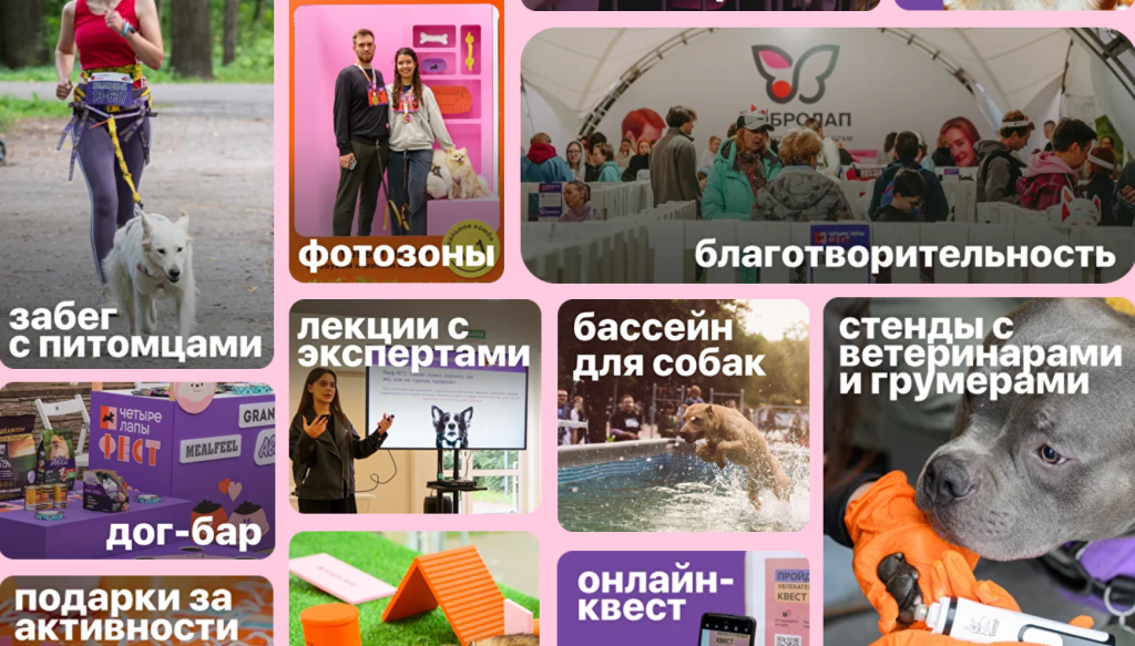 фест 4 лапы.png фест 4 лапы.png