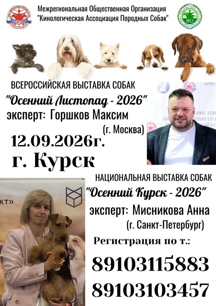 выставка собак курск 12.09.26г..jpg
