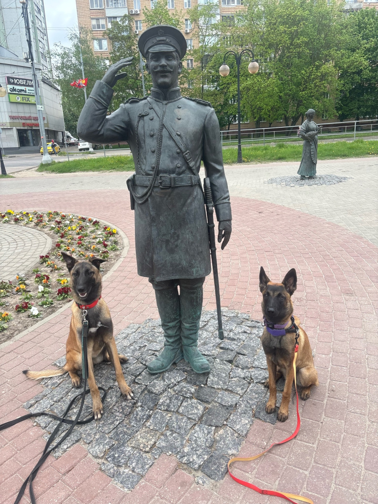 Малинуа кинозвезда.jpg
