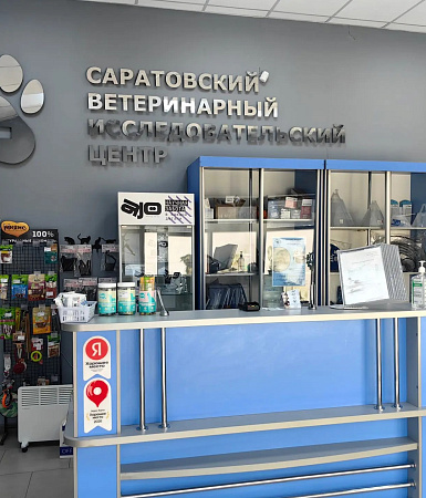 Ветеринарная клиника СВИЦ в Саратове: специализированная помощь в неврологии и комплексной реабилитации собак
