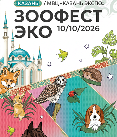 Не только кошки и собаки: каким будет первый ЗООФЕСТ ЭКО в Казани
