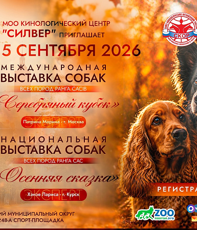 Выставка собак «Серебряный кубок» и «Осенняя сказка» в Кольчугино: Два события в одном празднике!