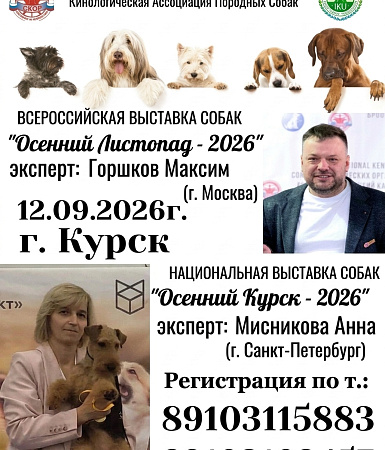 Две рейтинговые выставки собак в Курске: «Осенний листопад 2026» и «Осенний Курск»