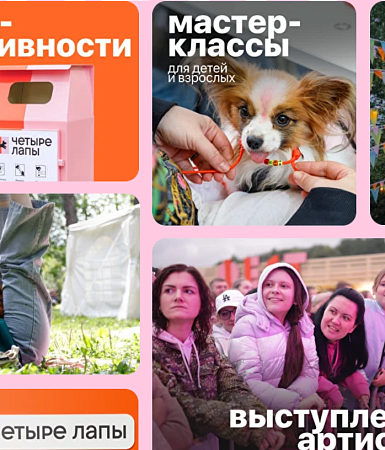 Фестиваль 4 лапы в Москве: главное собачье событие лета в Измайловском парке